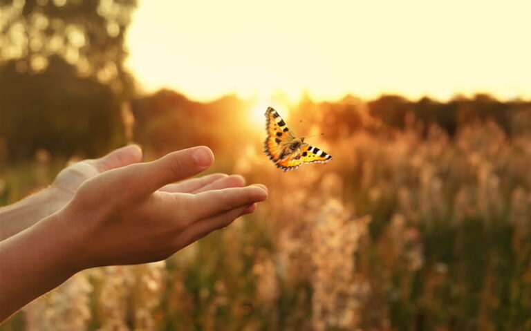 How to Stop Living on Autopilot and Start Noticing Your Life